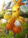 junk-crab-combusken
