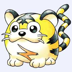 Kotora