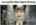 extremely small hideo kojima thinking