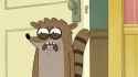 rigby disgust