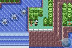 sudowoodo1