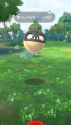 orb