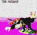 173 KB
