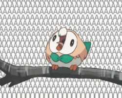 507 KB