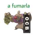 120 KB