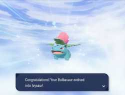110 KB