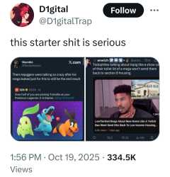 431 KB