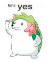 haha-yes-shaymin.png