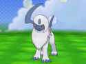 absol amie.gif