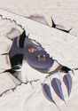 603 KB