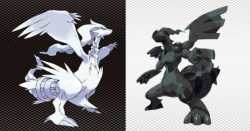 571 KB