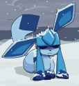16 KB