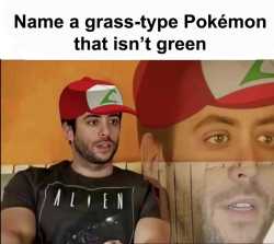 275 KB