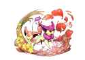3.6 MB