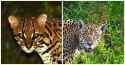 375 KB