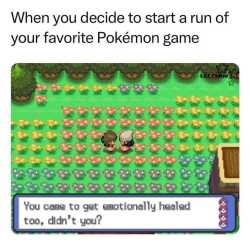 172 KB