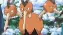 33 KB