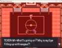 43 KB