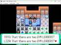31 KB