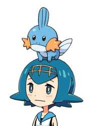 43 KB