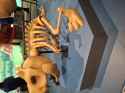 2.98 MB