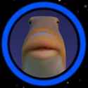 227 KB