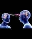 8 KB