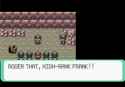 137 KB