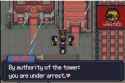 46 KB