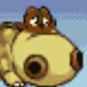 31 KB