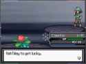 33 KB