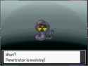 25 KB