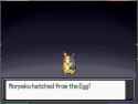 26 KB