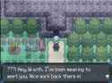 123 KB