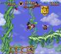 322836-the-magical-quest-starring-mickey-mouse-snes-screenshot-with-1249781484