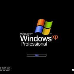 Windows XP