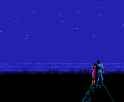 ninja gaiden 2- d