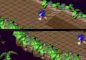 Sonic_3D_Blast_(Genesis)-SplitScreenPrototype-Screenshot1