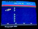 dolphin2600_1BA