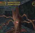 king&#039;s field combat