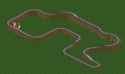 Watkins Glen International