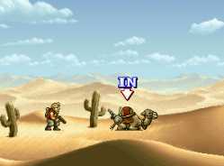 Camel