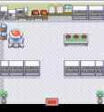 Professor_Oak_Lab_inside_FRLG