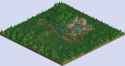 Forest Frontiers 2025-05-30 23-14-58