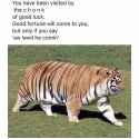 1745358075131943