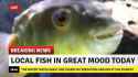 bestkindofplankton
