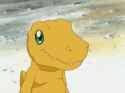Agumon