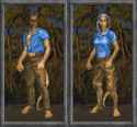 Daggerfall_-_Khajiit