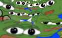 many_frogs_looking