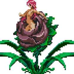 2526075-8116662244-Venus